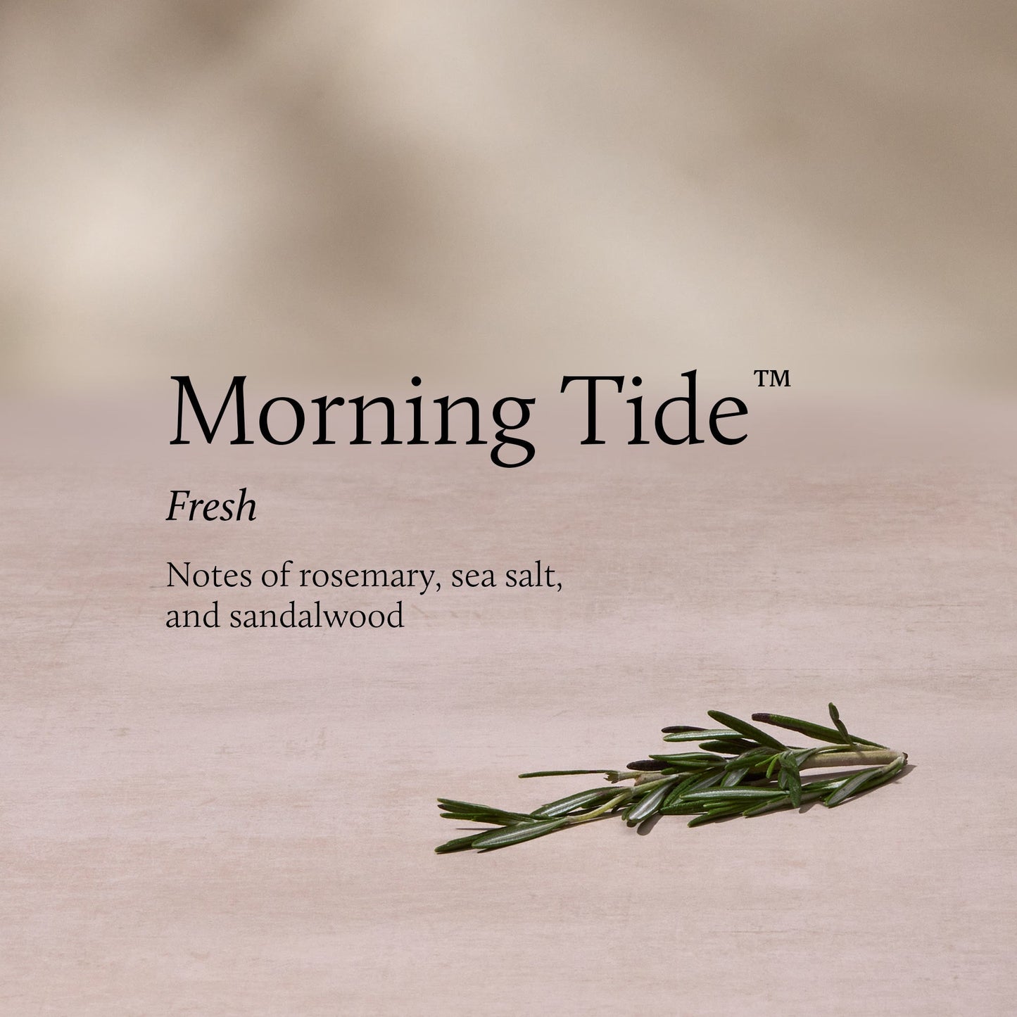 Morning Tide 13 oz 2-Wick Candle